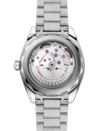 Seamaster Aqua Terra 150M 41 mm 220.10.41.21.03.006 - Image 2